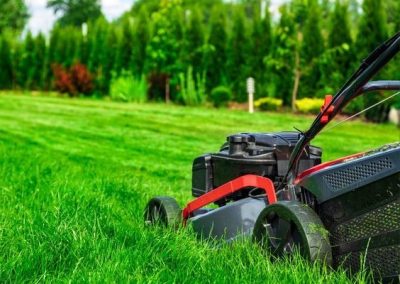 We are a highly recommended and respected garden maintenance service, providing you with a team who understands and meets your needs.